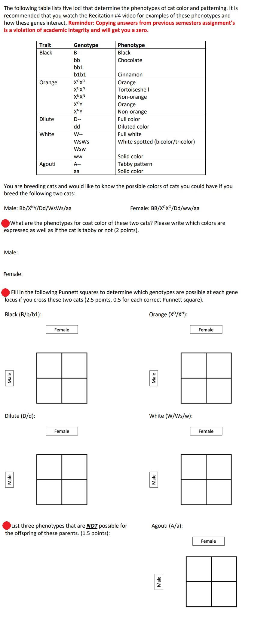 The Following Table Lists Five Loci That Determine The Phenotypes Of Cat Color And Patterning It Is Recommended That Yo 1