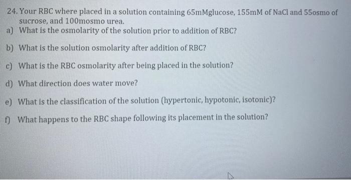 24 Your Rbc Where Placed In A Solution Containing 65mmglucose 155mm Of Nacl And 550smo Of Sucrose And 100mosmo Urea 1