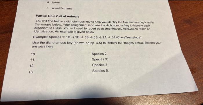 Part Iii Role Call Of Animals You Will Find Below A Dichotomous Key To Help You Identify The Five Animals Depicted In T 1