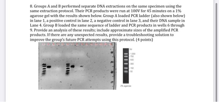 8 Groups A And B Performed Separate Dna Extractions On The Same Specimen Using The Same Extraction Protocol Their Pcr 1
