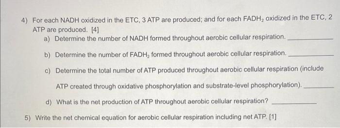 4 For Each Nadh Oxidized In The Etc 3 Atp Are Produced And For Each Fadh Oxidized In The Etc 2 Atp Are Produced 4 1
