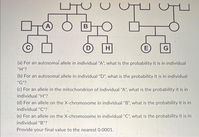 Litu 70 0 0 0 A B 5 D H Utu E G A For An Autosomal Allele In Individual A What Is The Probability It Is In Individu 1