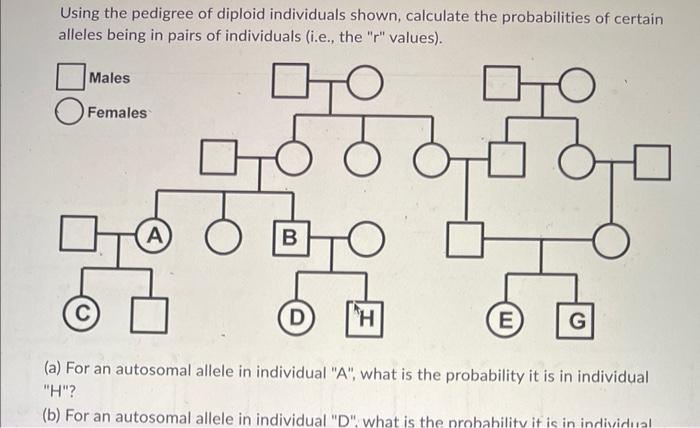 Litu 70 0 0 0 A B 5 D H Utu E G A For An Autosomal Allele In Individual A What Is The Probability It Is In Individu 2
