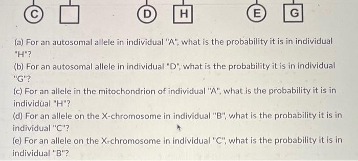 Litu 70 0 0 0 A B 5 D H Utu E G A For An Autosomal Allele In Individual A What Is The Probability It Is In Individu 4