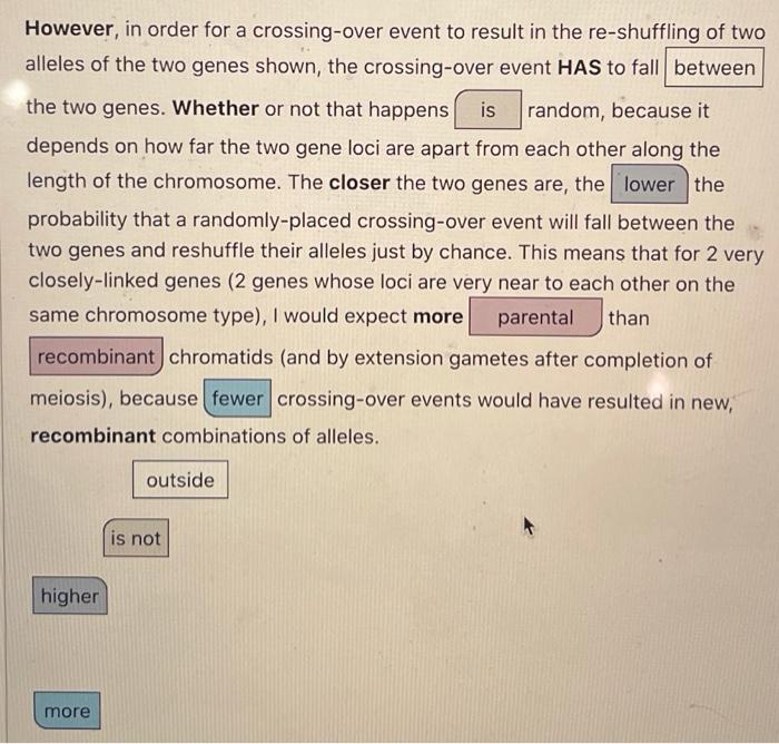 However In Order For A Crossing Over Event To Result In The Re Shuffling Of Two Alleles Of The Two Genes Shown The Cro 1