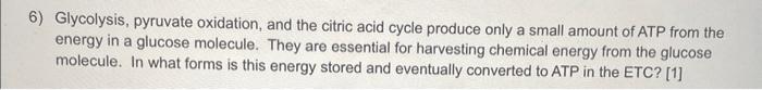 6 Glycolysis Pyruvate Oxidation And The Citric Acid Cycle Produce Only A Small Amount Of Atp From The Energy In A Glu 1
