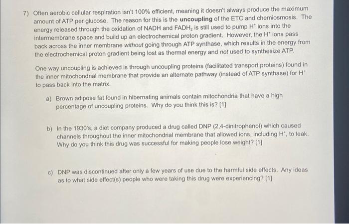 7 Often Aerobic Cellular Respiration Isn T 100 Efficient Meaning It Doesn T Always Produce The Maximum Amount Of Atp 1