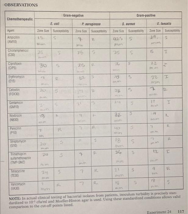 Observations Chemotherapeutic Agent Ampicillin Am10 Chloramphenicol C30 Ciprofloxin Cip5 Erythromycin E15 Cefoxi 1