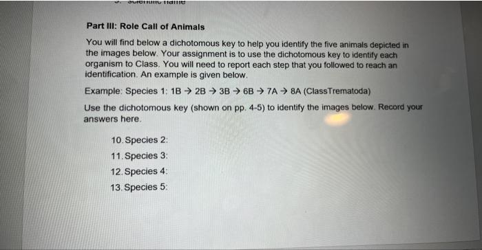 Suighing Fane Part Iii Role Call Of Animals You Will Find Below A Dichotomous Key To Help You Identify The Five Animals 1