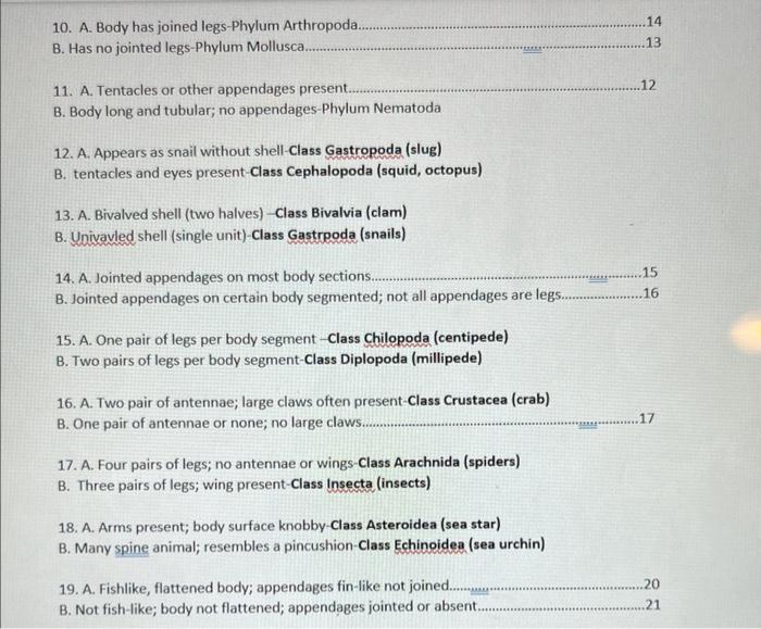 Suighing Fane Part Iii Role Call Of Animals You Will Find Below A Dichotomous Key To Help You Identify The Five Animals 4