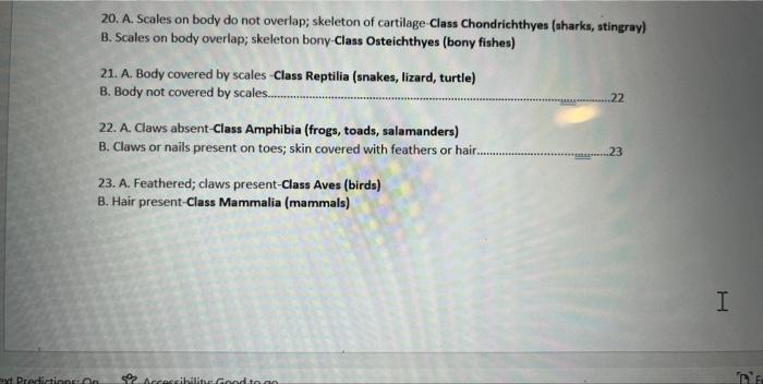 Suighing Fane Part Iii Role Call Of Animals You Will Find Below A Dichotomous Key To Help You Identify The Five Animals 5