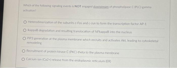 Which Of The Following Statements About The Double Negative Dn Population Of Developing Thymocytes Are True Turned On 3