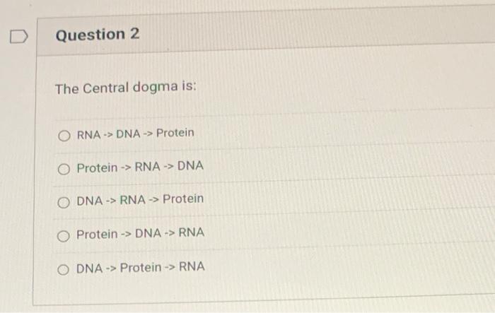 Question 2 The Central Dogma Is Rna Dna Protein O Protein Rna Dna Odna Rna Protein O Protein Dna Rna 1