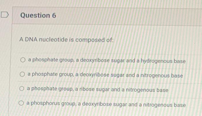 D Question 6 A Dna Nucleotide Is Composed Of O A Phosphate Group A Deoxyribose Sugar And A Hydrogenous Base O A Phosph 1