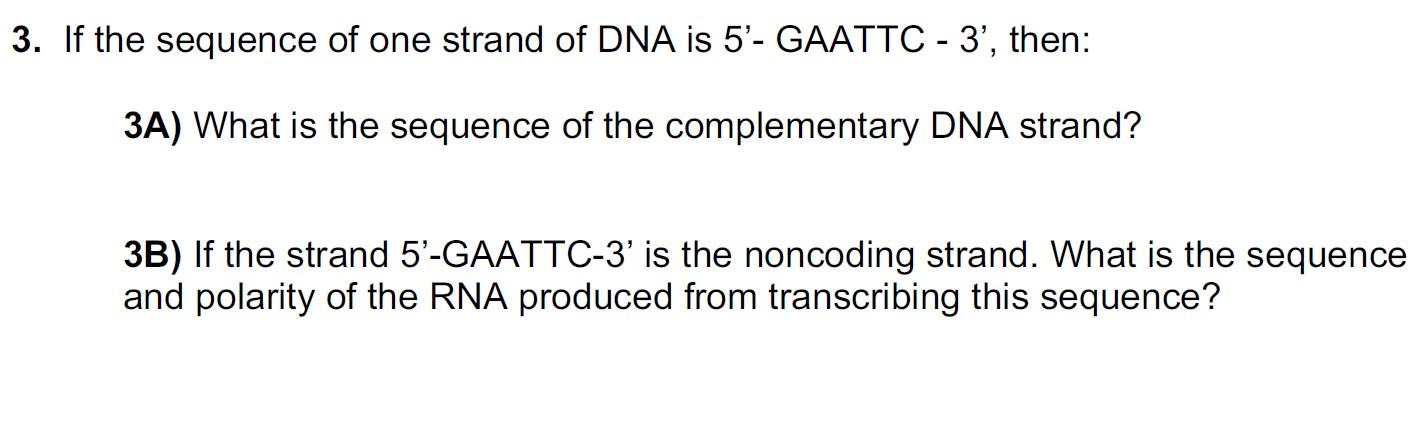 3 If The Sequence Of One Strand Of Dna Is 5 Gaattc 3 Then 3a What Is The Sequence Of The Complementary Dna Stra 1