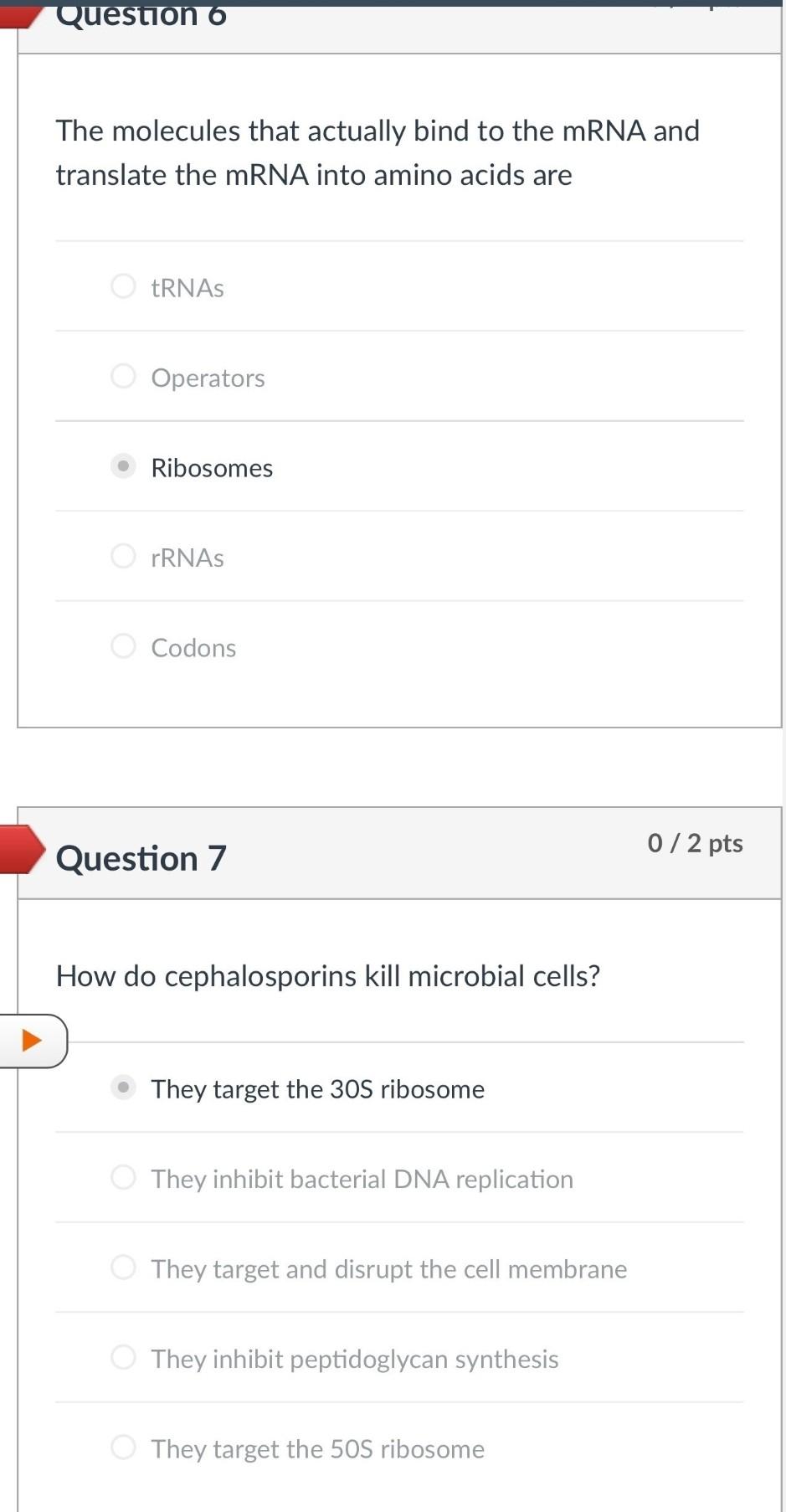 Question 6 The Molecules That Actually Bind To The Mrna And Translate The Mrna Into Amino Acids Are Trnas Operators Ribo 1