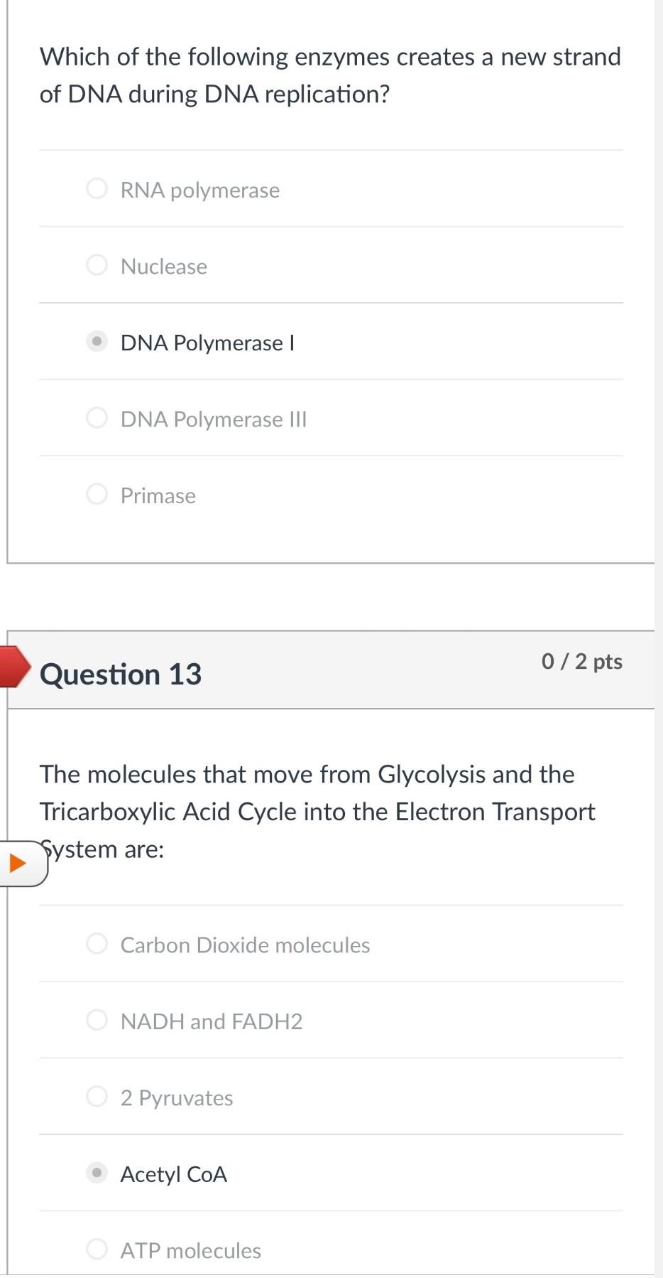 Question 6 The Molecules That Actually Bind To The Mrna And Translate The Mrna Into Amino Acids Are Trnas Operators Ribo 5