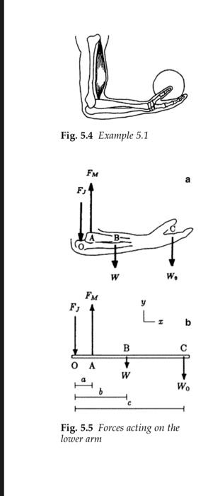 5 11 Exercise Problems Problem 5 1 Consider A Person Holding An Object In His Hand With His Elbow Flexed At The Right An 2