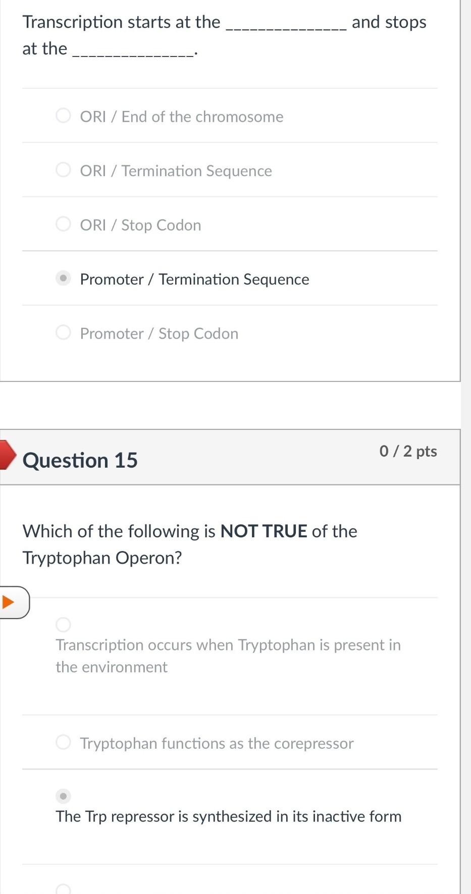 Question 6 The Molecules That Actually Bind To The Mrna And Translate The Mrna Into Amino Acids Are Trnas Operators Ribo 6