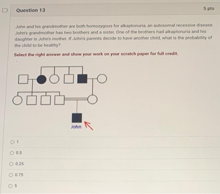 D Question 13 John And His Grandmother Are Both Homozygous For Alkaptonuria An Autosomal Recessive Disease John S Gran 1