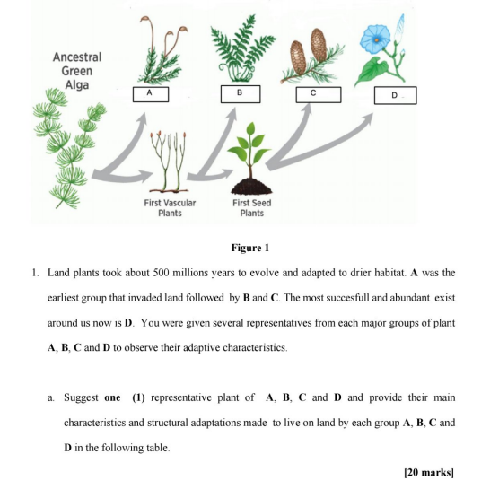 Ancestral Green Alga Willi First Vascular Plants B L First Seed Plants D Figure 1 1 Land Plants Took About 500 Millions 1
