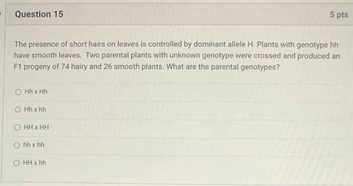 Question 15 The Presence Of Short Hairs On Leaves Is Controlled By Dominant Allele H Plants With Genotype Hh Have Smoot 1