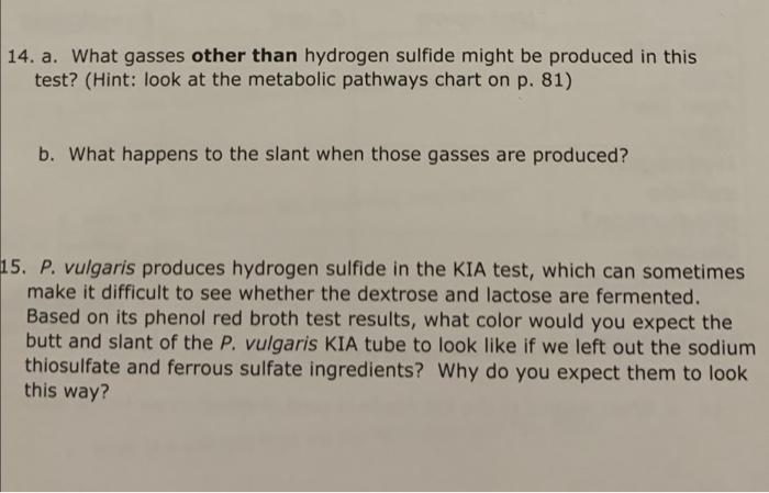 14 A What Gasses Other Than Hydrogen Sulfide Might Be Produced In This Test Hint Look At The Metabolic Pathways Cha 1