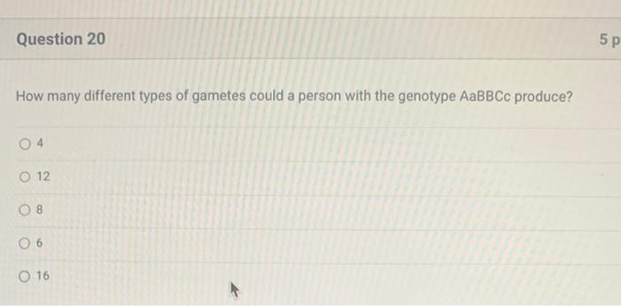 Question 20 How Many Different Types Of Gametes Could A Person With The Genotype Aabbcc Produce 04 O 12 08 06 O 16 5 P 1