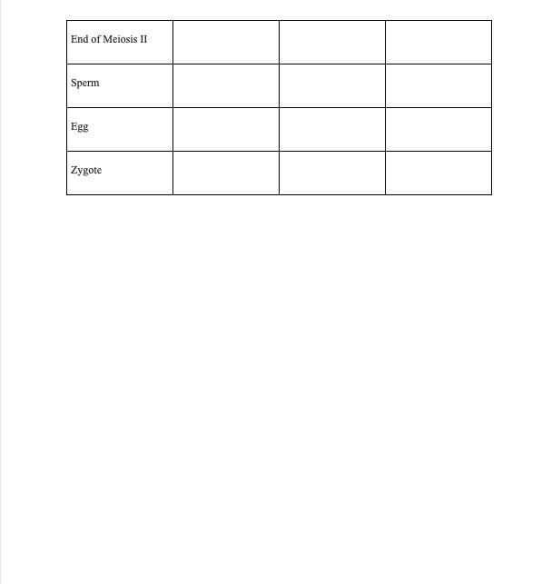 The Table Below Lists The Stages Of The Cell Cycle In A Human Eukaryotic Cell And Some Of The Steps Of Meiosis Fill I 2