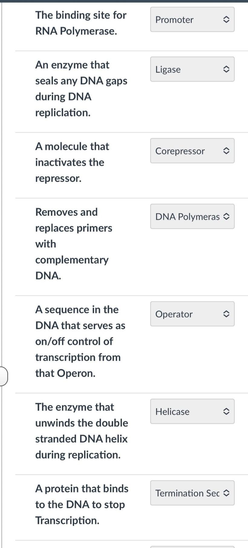 The Binding Site For Rna Polymerase An Enzyme That Seals Any Dna Gaps During Dna Repliclation A Molecule That Inactiva 1