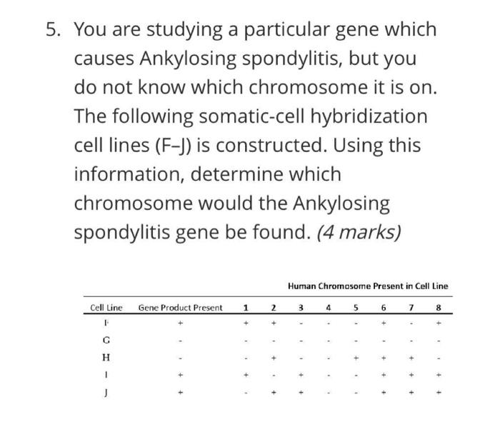 You Are Studying A Particular Gene Which Causes Ankylosing Spondylitis But You Do Not Know Which Chromosome It Is On T 1