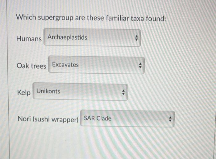 Which Supergroup Are These Familiar Taxa Found Humans Oak Trees Kelp Nori Sushi Wrapper Seaweeds Are A Algae Are A Br 1