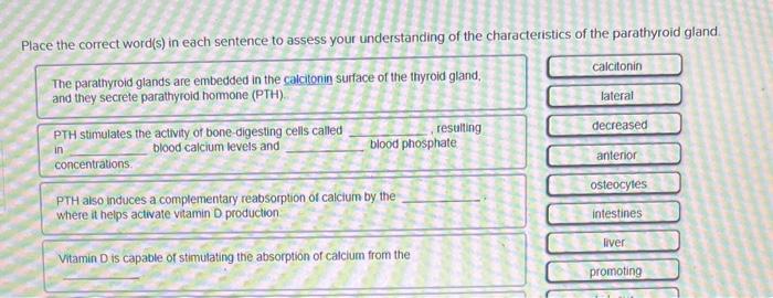 Place The Correct Word S In Each Sentence To Assess Your Understanding Of The Characteristics Of The Parathyroid Gland 1