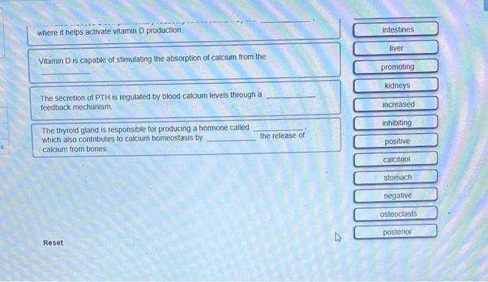Place The Correct Word S In Each Sentence To Assess Your Understanding Of The Characteristics Of The Parathyroid Gland 2
