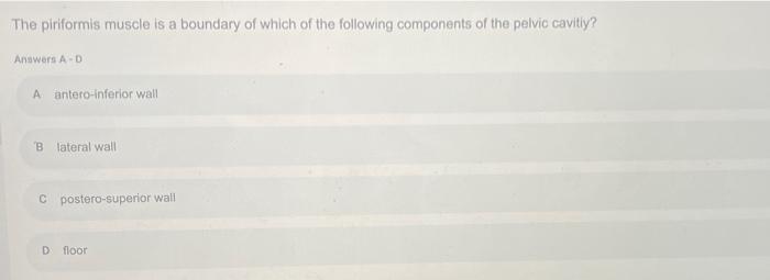 The Piriformis Muscle Is A Boundary Of Which Of The Following Components Of The Pelvic Cavitiy Anawers A D A Antero Inf 1