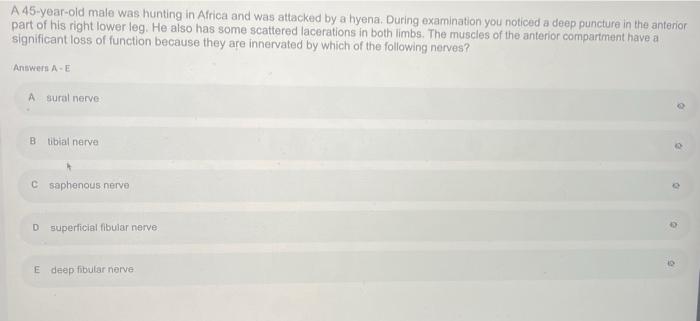 A 45 Year Old Male Was Hunting In Africa And Was Attacked By A Hyena During Examination You Noticed A Deep Puncture In 1