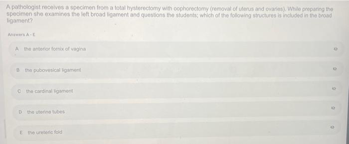 A 30 Year Old Female Received A Harpoon Injury To The Posterior Cord Of The Brachial Plexus While Spearfishing Which Mu 4