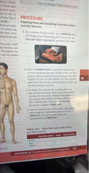Tract Blood Circuits And Tricles Relax An Be Felt In Body This Is 18 20 Beats Per Min In Adults Can 100 Bpm How Ting 1
