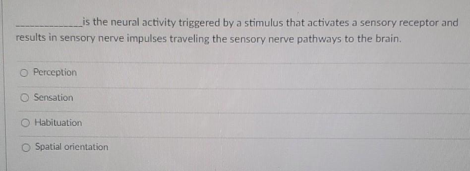 The Phenomenon That Closer Objects Are Perceived To Move Faster Compared To Distant Objects O Retinal Disparity O Motio 2