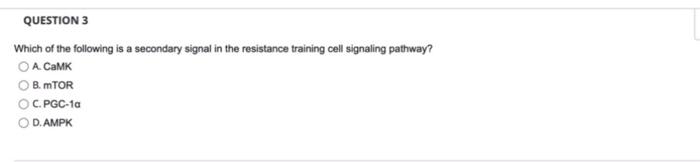 Question 3 Which Of The Following Is A Secondary Signal In The Resistance Training Cell Signaling Pathway O A Camk B 1