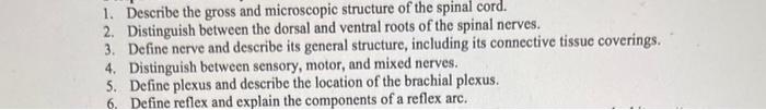 1 Describe The Gross And Microscopic Structure Of The Spinal Cord 2 Distinguish Between The Dorsal And Ventral Roots 1