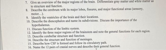 7 Give An Overview Of The Major Regions Of The Brain Differentiate Gray Matter And White Matter As To Structure And Fu 1
