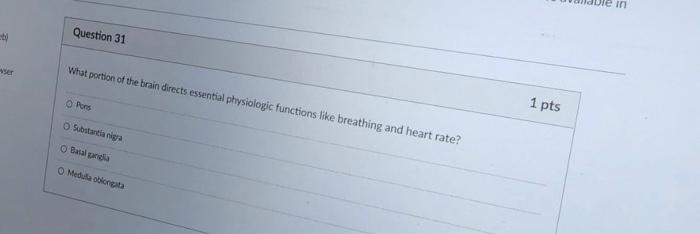 B Ver Question 31 What Portion Of The Brain Directs Essential Physiologic Functions Like Breathing And Heart Rate O Po 1