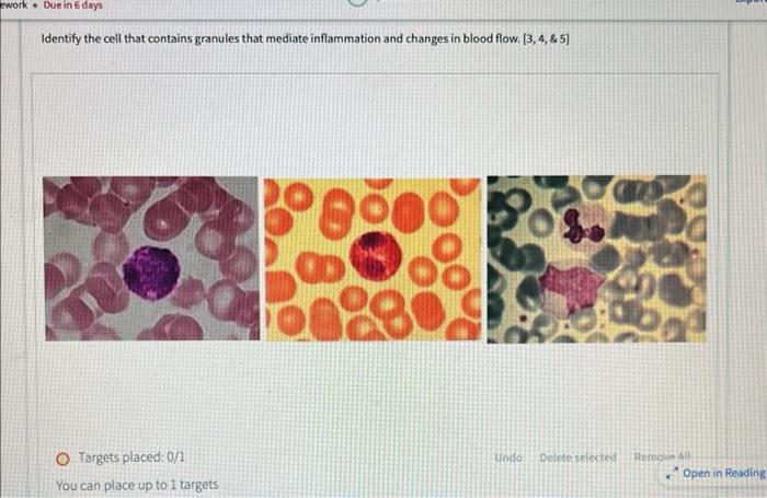 Work Due In 6 Days Identify The Cell That Contains Granules That Mediate Inflammation And Changes In Blood Flow 3 4 1
