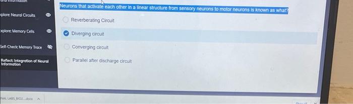 Plore Neural Circuits Xplore Memory Cells Self Check Memory Trace Reflect Integration Of Neural Information Al Labs B 1