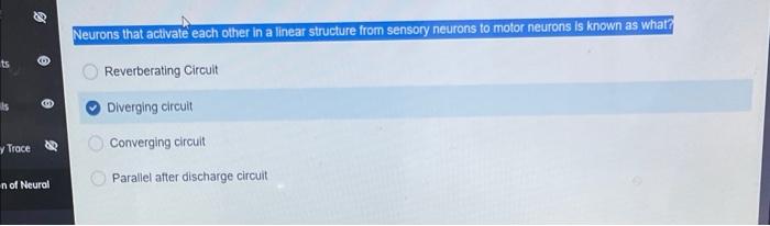 Ts By Trace N Of Neural Neurons That Activate Each Other In A Linear Structure From Sensory Neurons To Motor Neurons Is 1