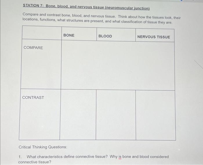 Station 7 Bone Blood And Nervous Tissue Neuromuscular Junction Compare And Contrast Bone Blood And Nervous Tissue 1