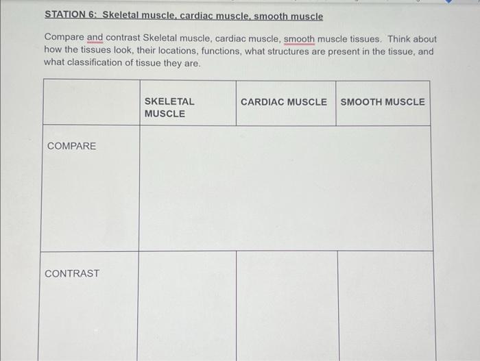 Station 6 Skeletal Muscle Cardiac Muscle Smooth Muscle Compare And Contrast Skeletal Muscle Cardiac Muscle Smooth M 1