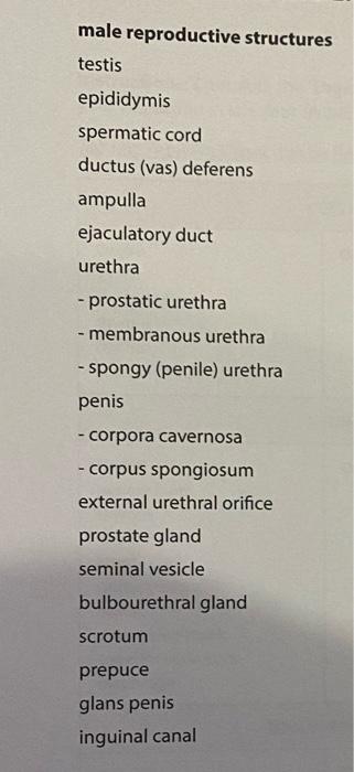 Structures Of The Male Reproductive System Use The Terms On The Tag List To Label These Drawings Refer To Your Textbook 2