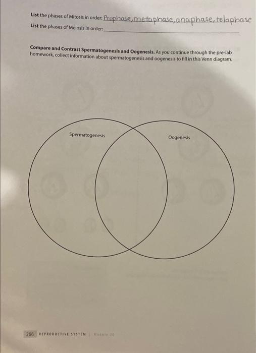 List The Phases Of Mitasis In Order Prophase Metaphase An Aphase Telophas List The Phases Of Meiosis In Order Compa 1